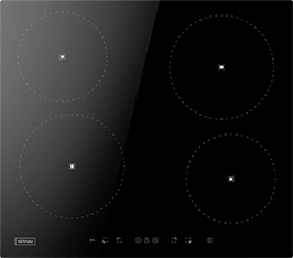 Induktionsfeld Reparatur Bad Doberan